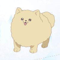 蓬太