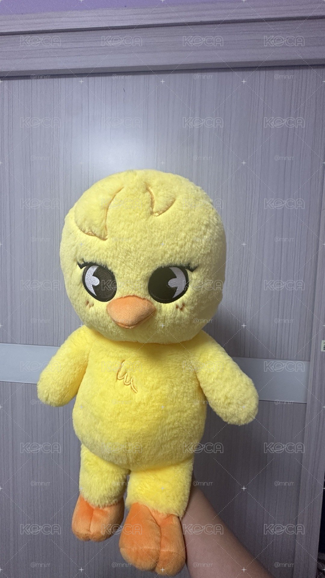 Felix泰迪娃直出