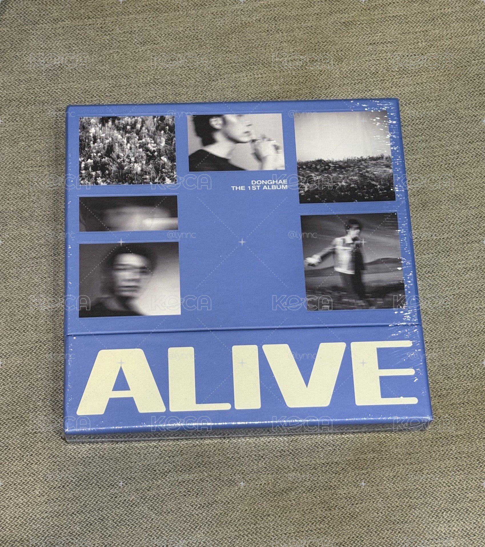 全新東海ALIVE PB專