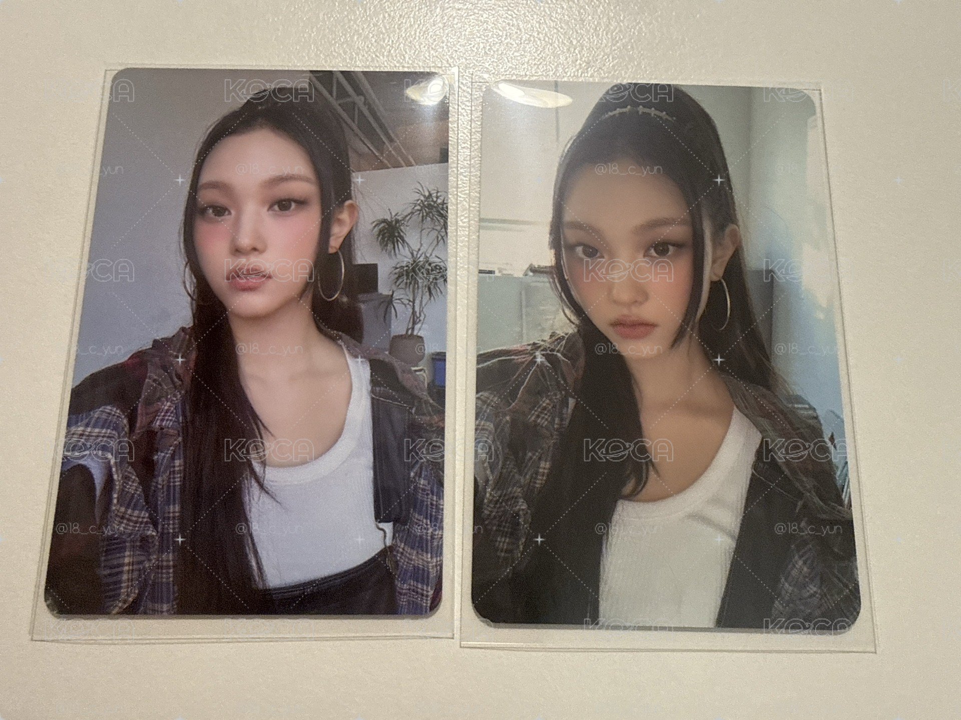 貓貓小卡
