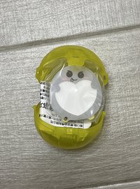 龍石