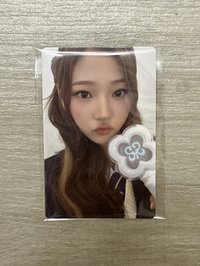 stella手燈卡