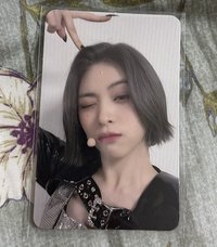 貓耳留