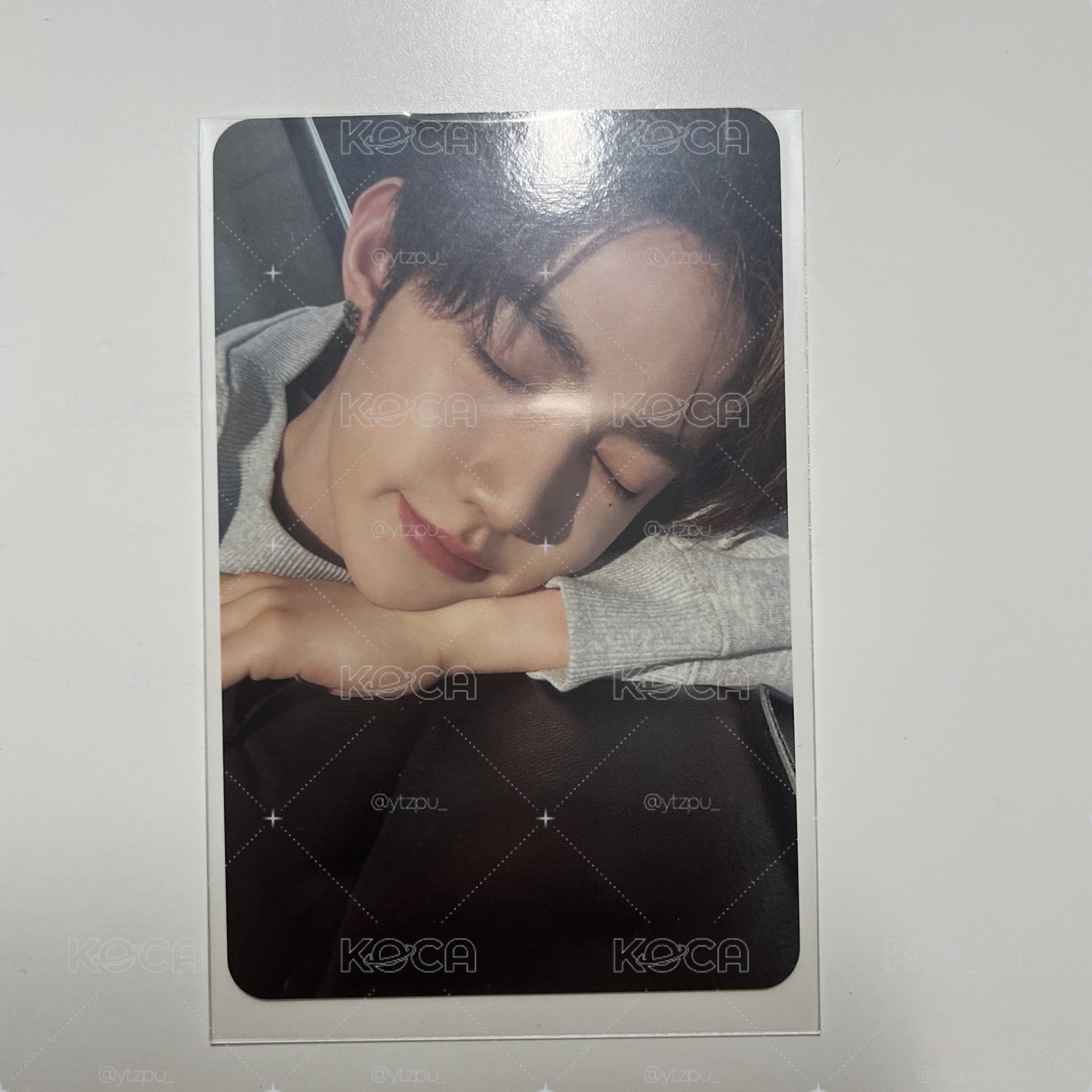 昊🦝