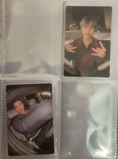 魚眼