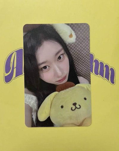 ［代開賣場🐹］李彩領布丁狗中文卡背