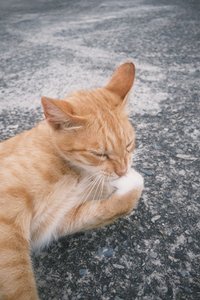 等我上架😶‍🌫️