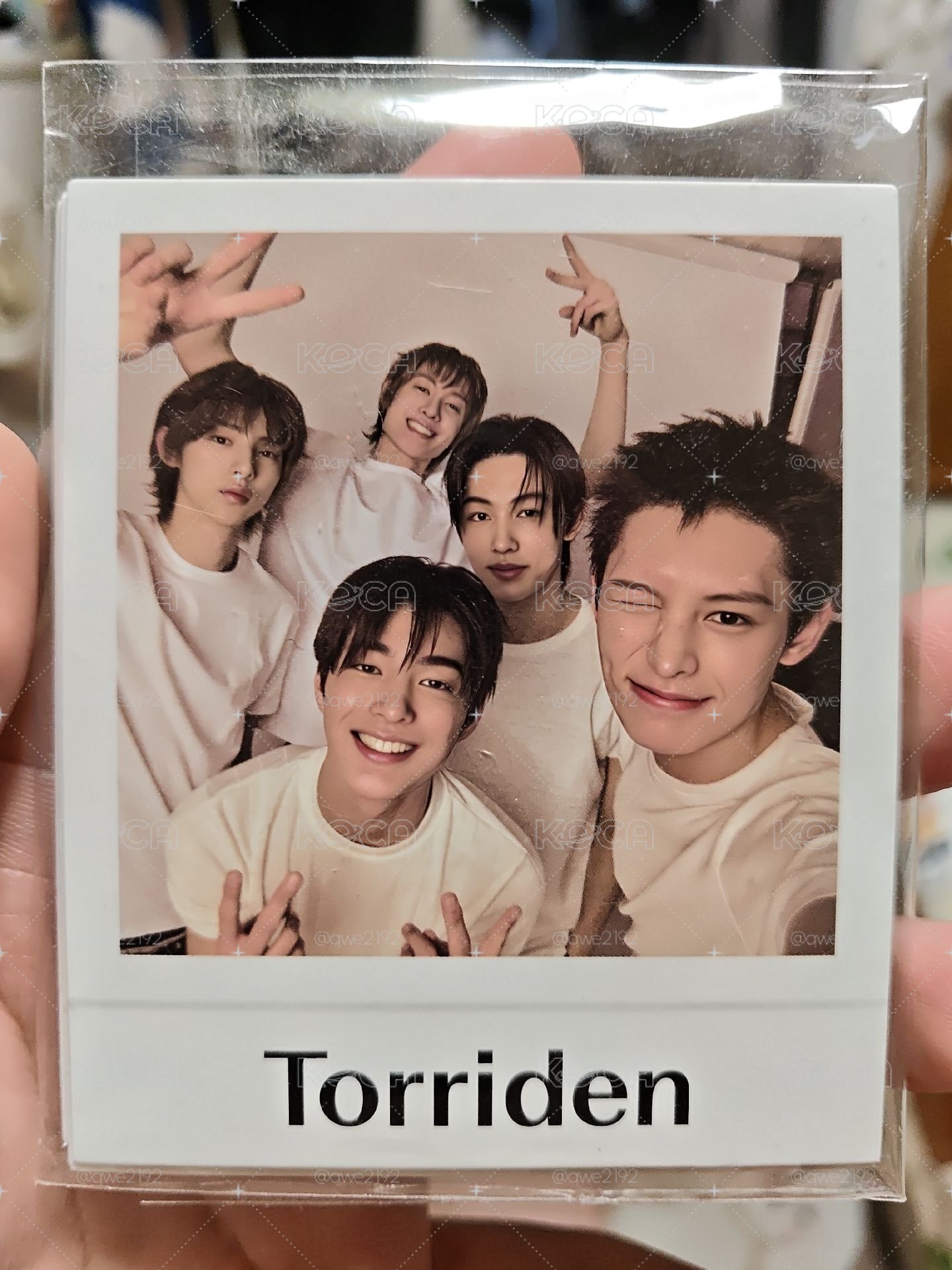 cortis Torriden oy 代言卡 半價起標