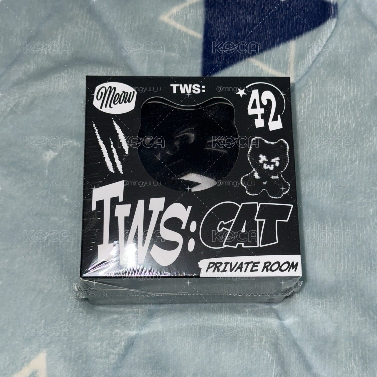 TWS 黑貓專 