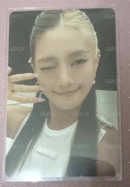 mono版妮