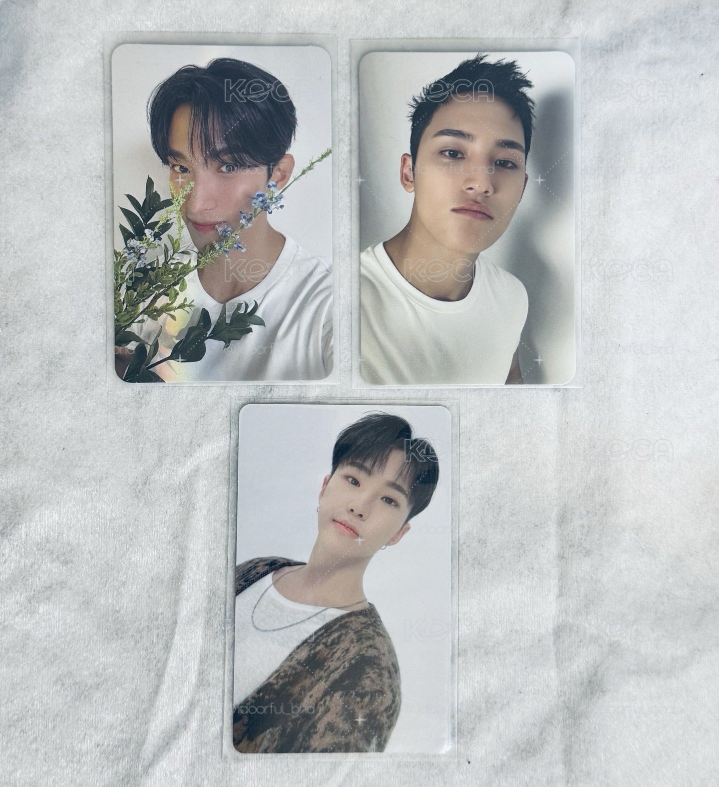 SVT 小卡們