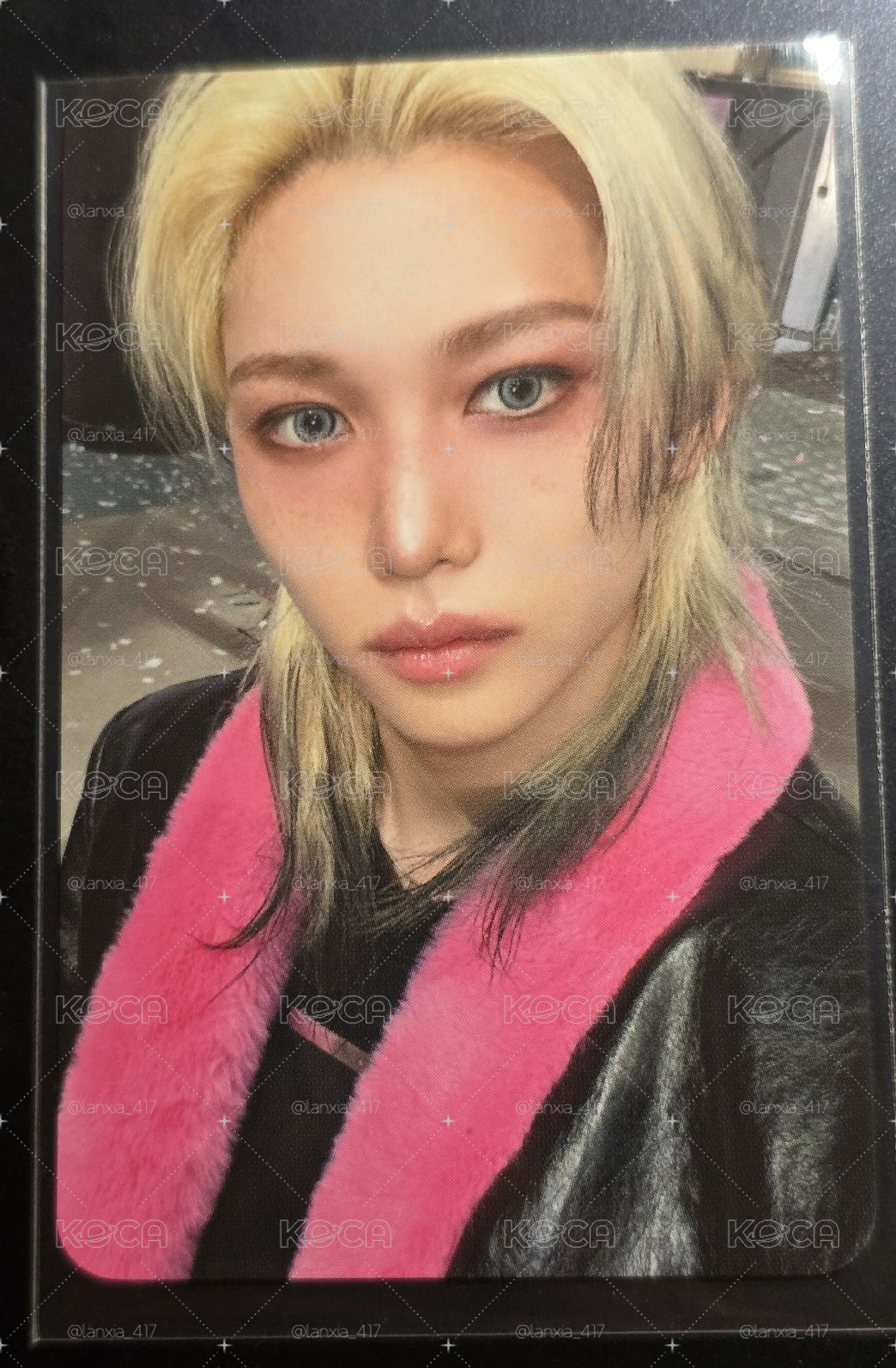 Felix WM特典