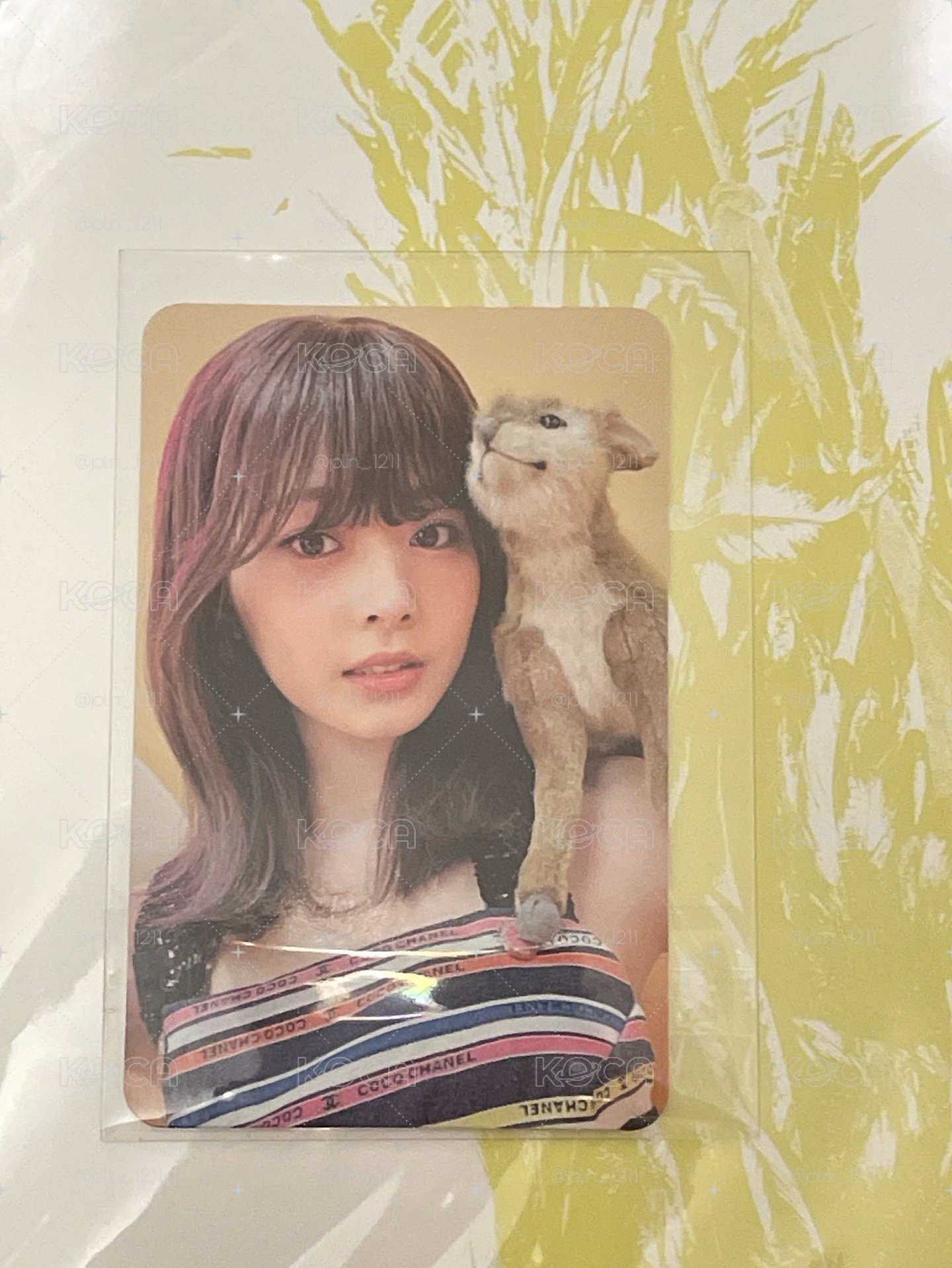 子瑜小卡🩷