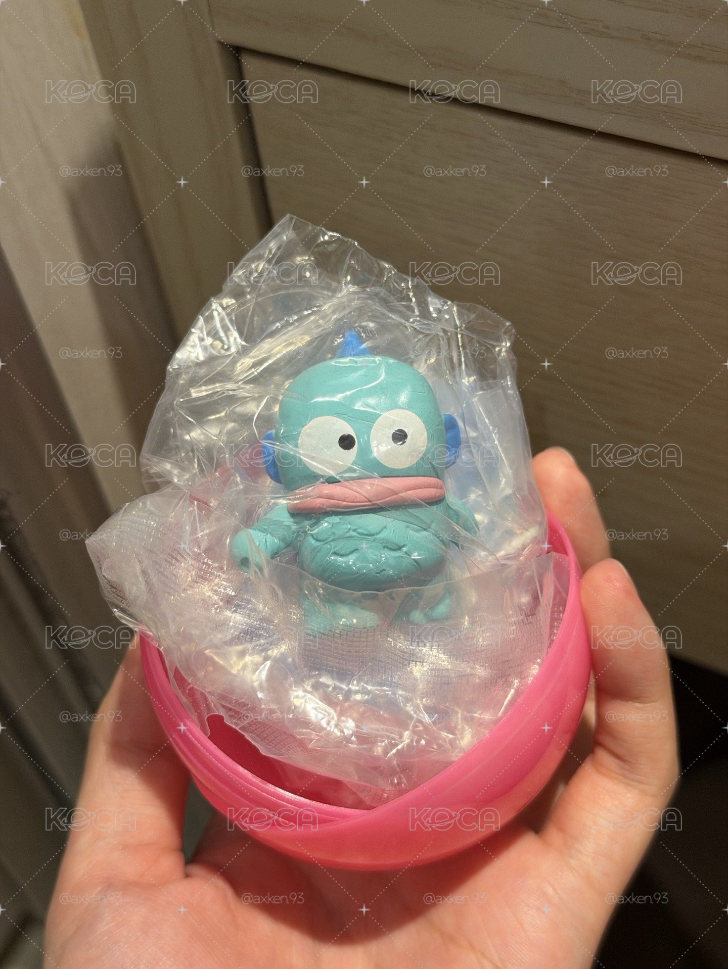 三麗鷗打掃