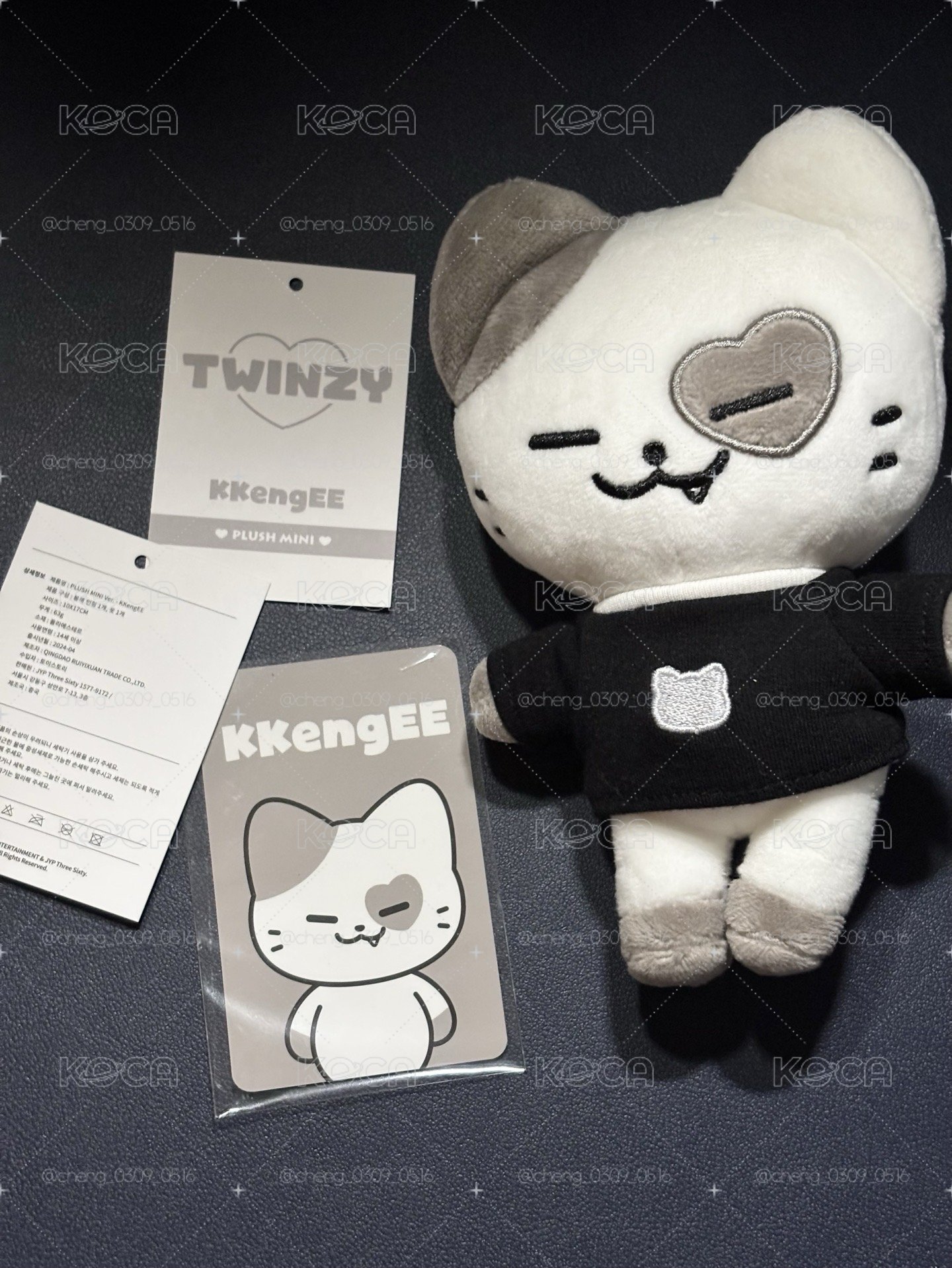 (已拆封)TWINZY 志小娃