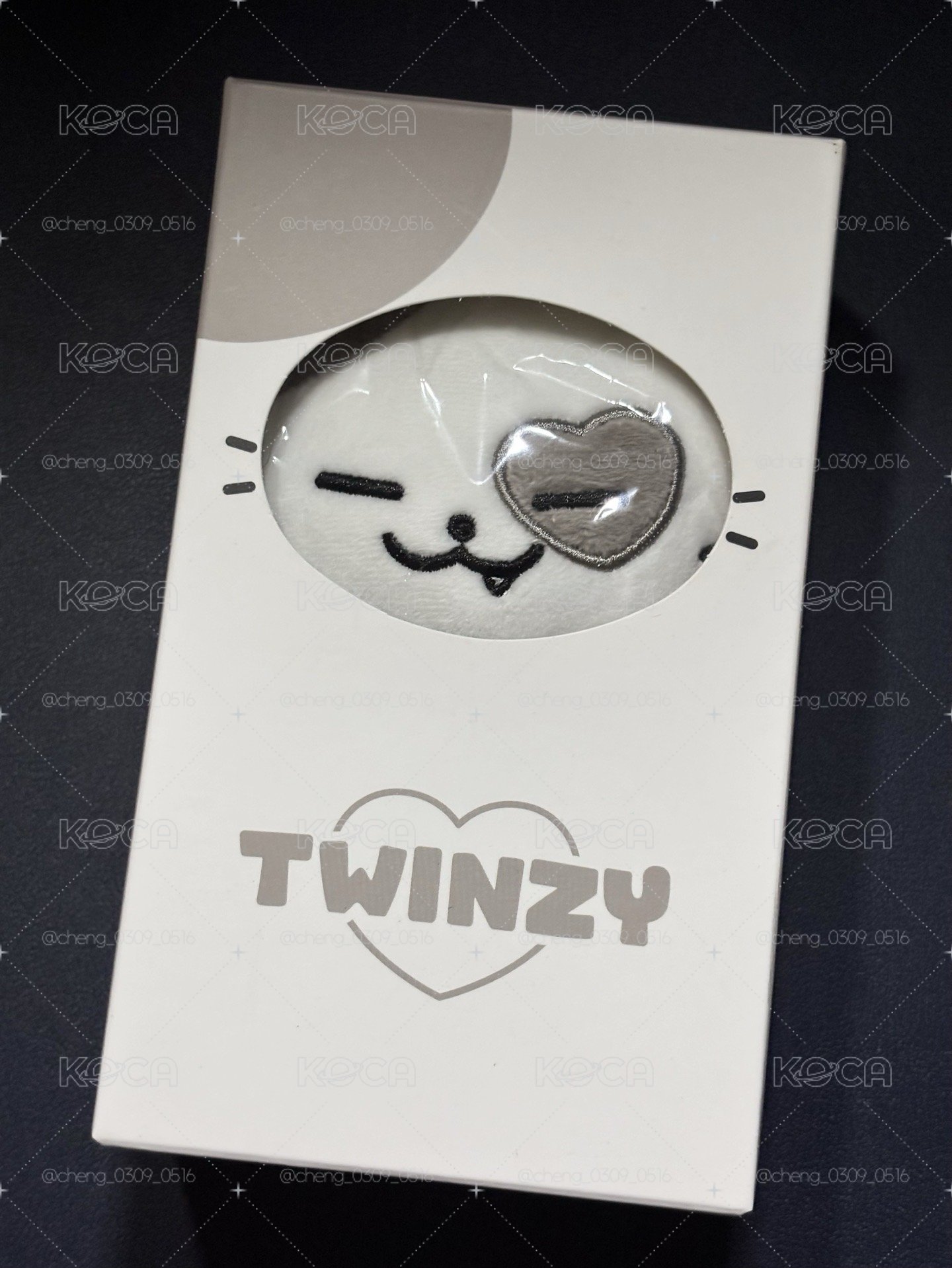 (已拆封)TWINZY 志小娃