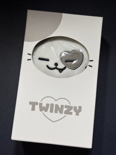 (已拆封)TWINZY 志小娃