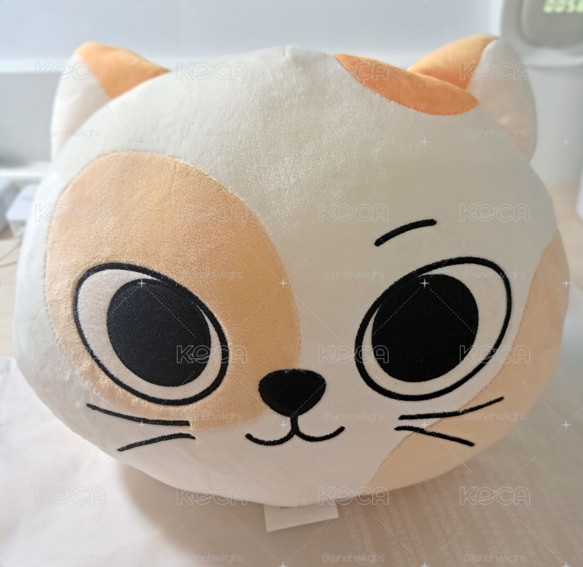 Catbbi 抱枕（已非全新）