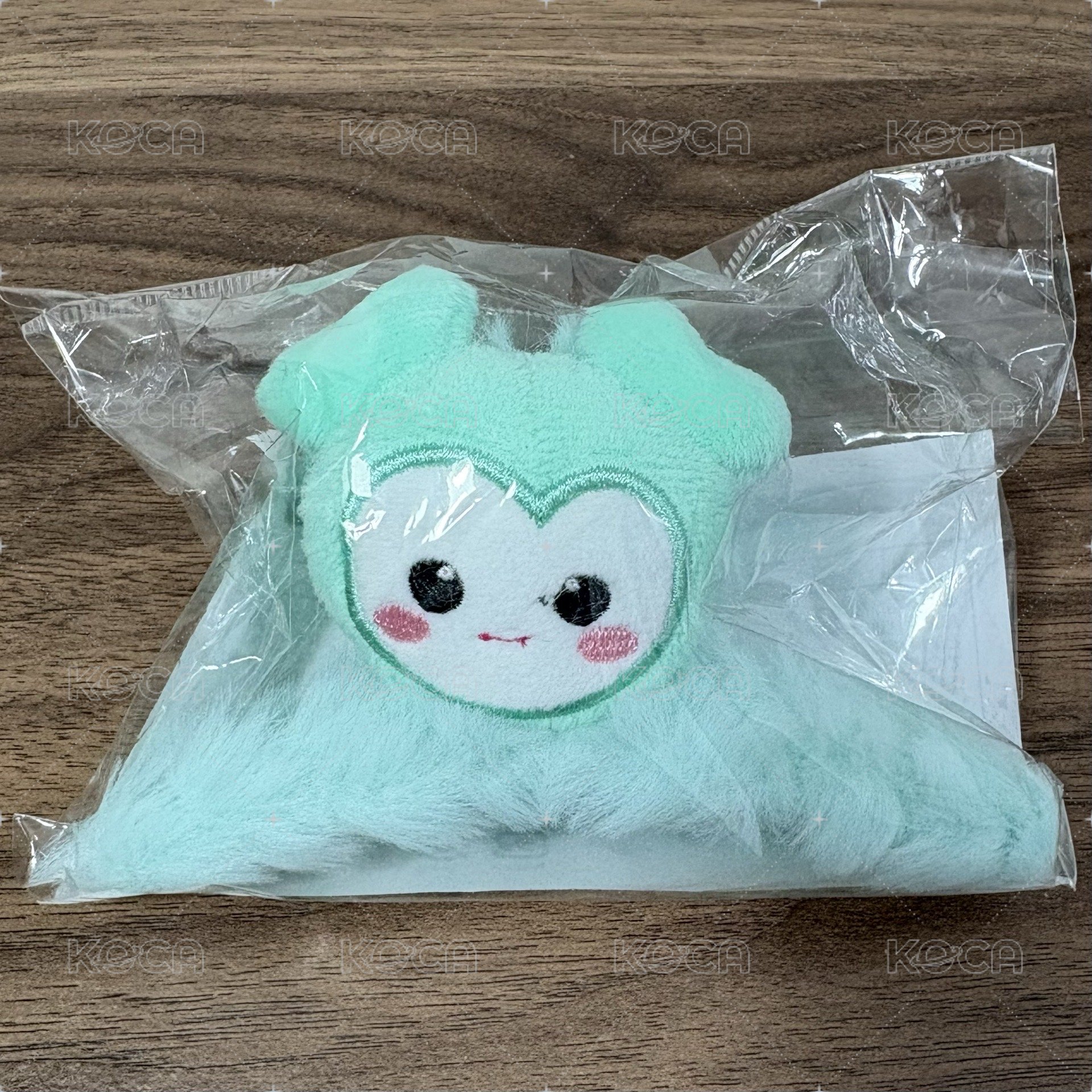 新國立鯊魚夾 MINA（全新未拆）
