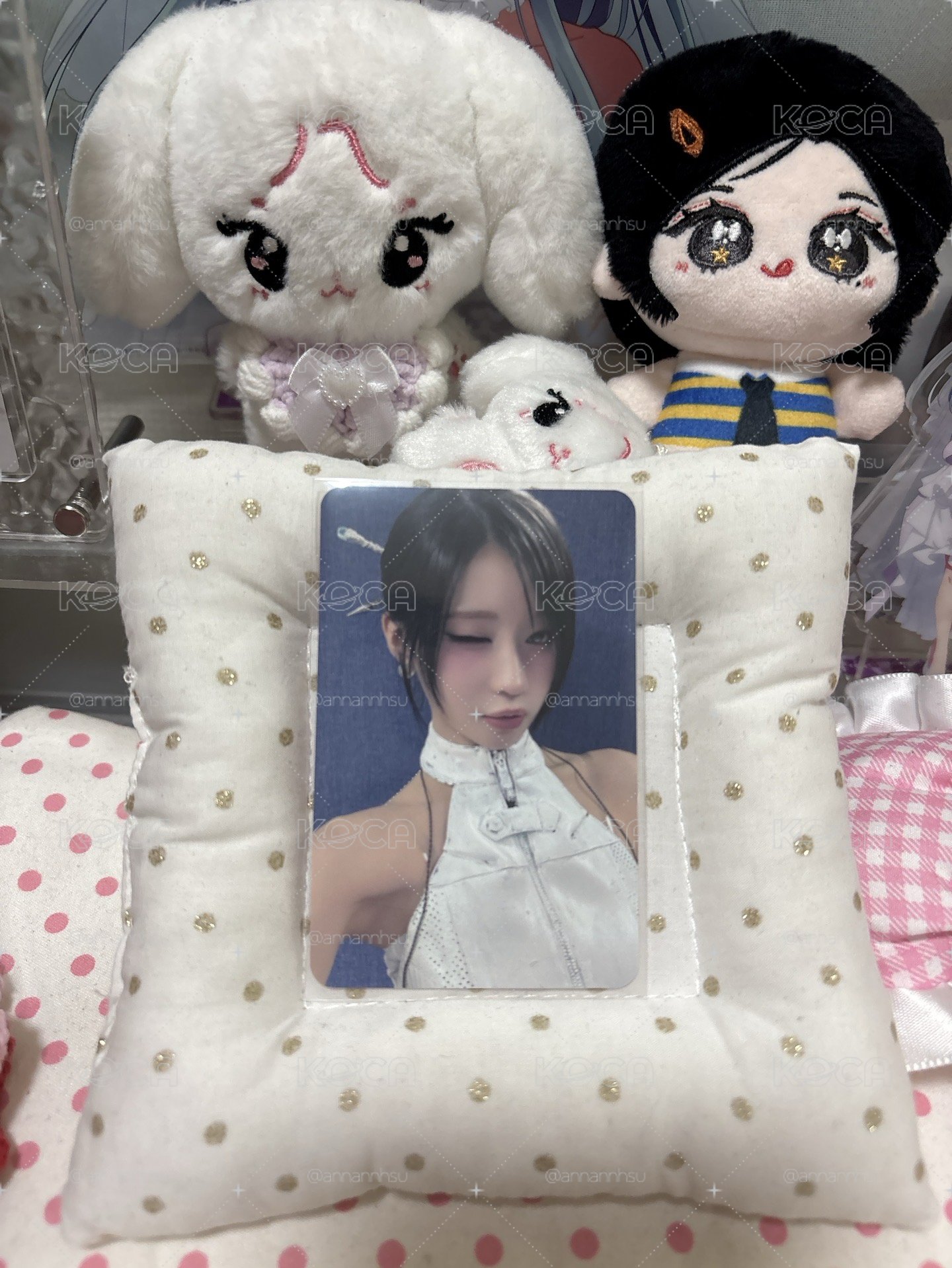 二週年杏紗