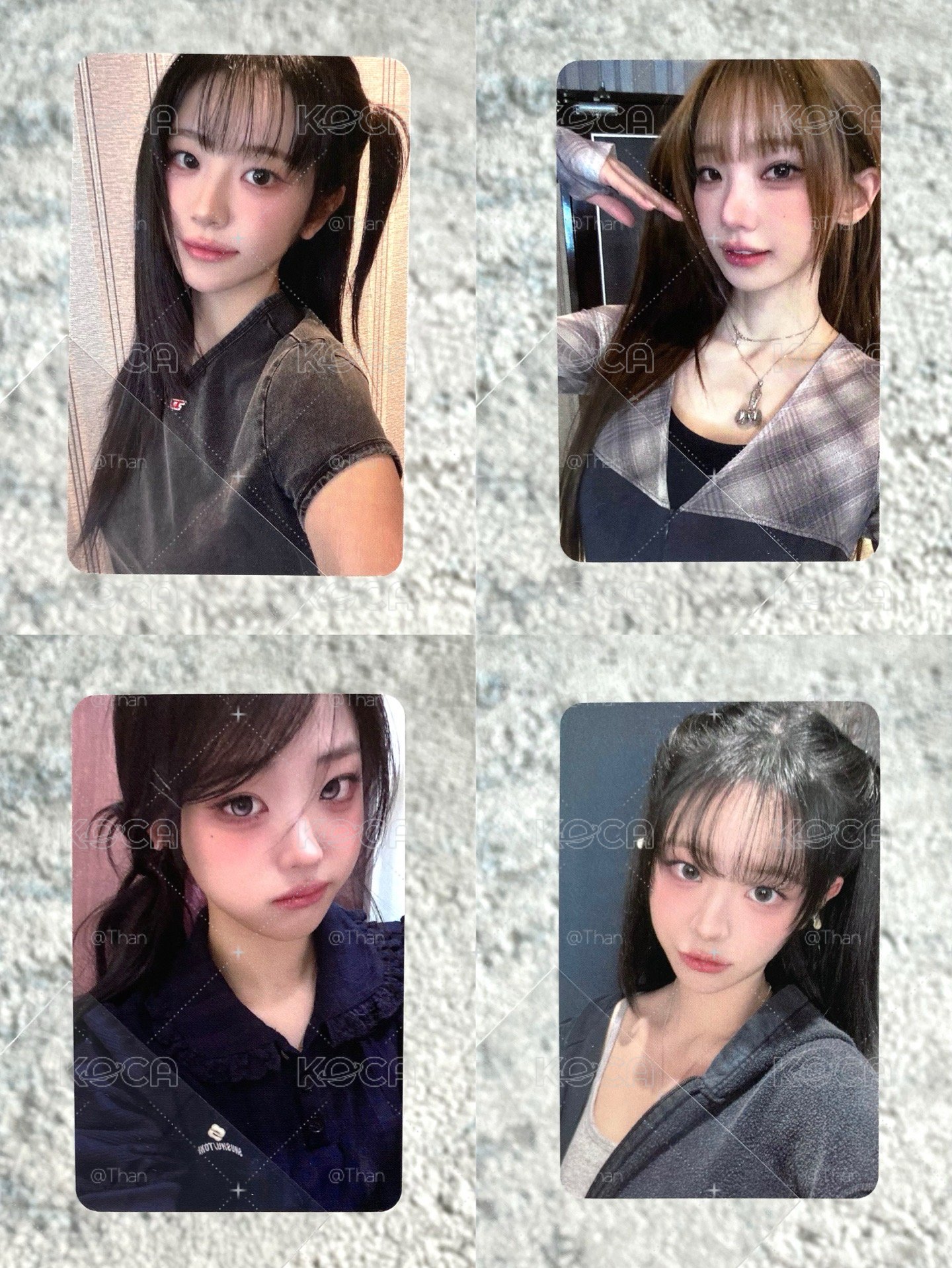 漢堡丹塔娜+跳蚤丹