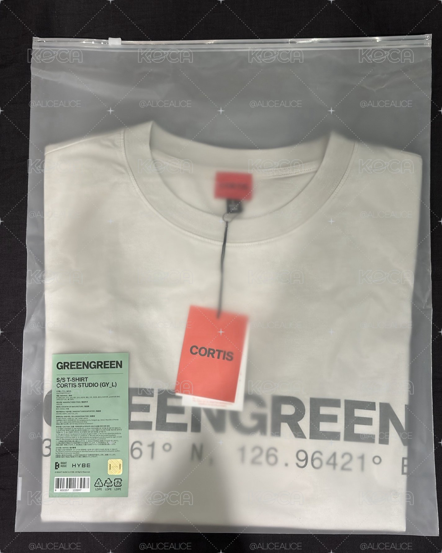 全新 GREENGREEN T恤 Gray（L）
