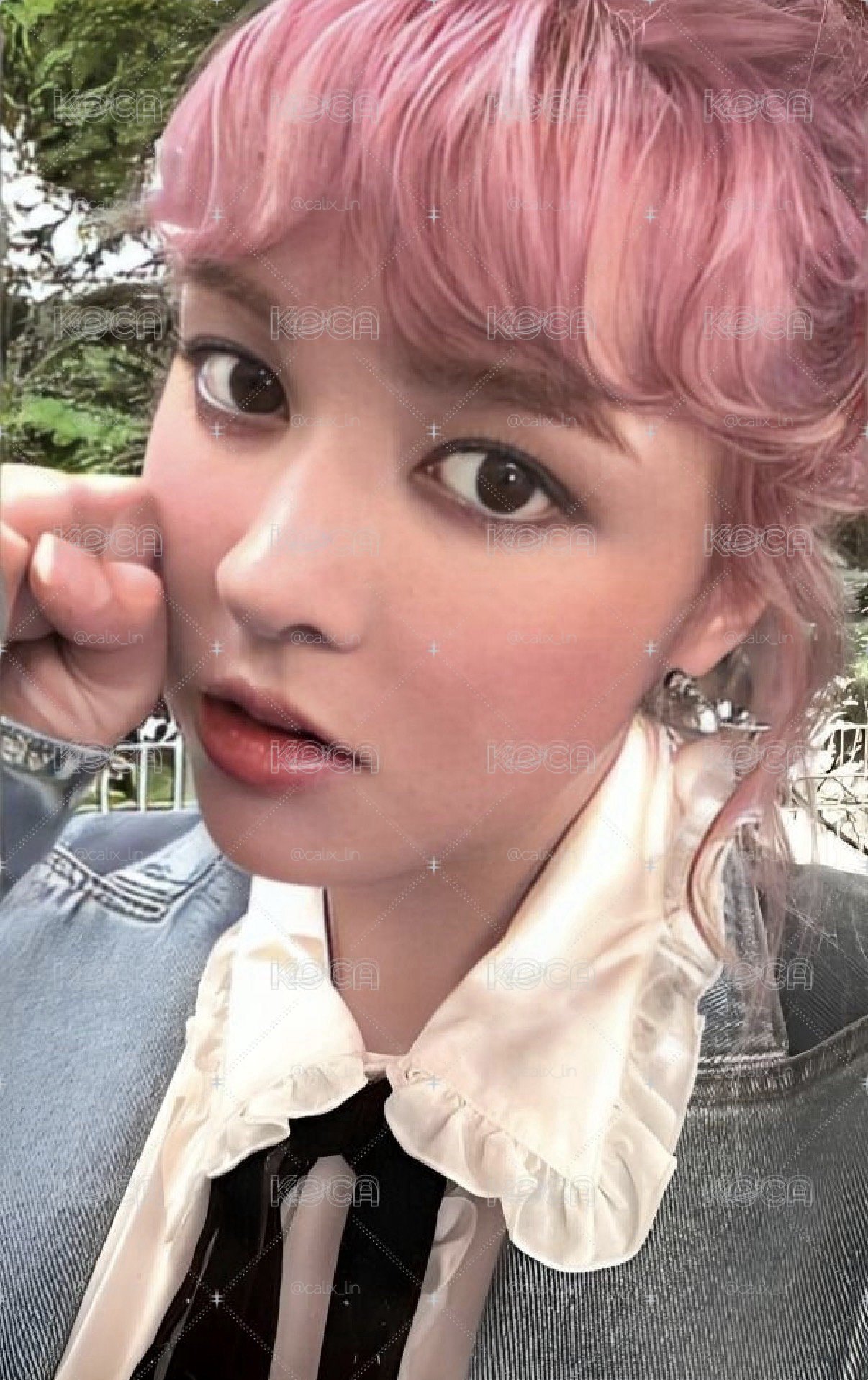 lily專卡