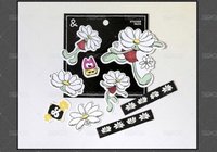 貼紙 A&NE