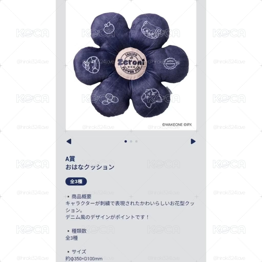 【zeroni】〈A賞〉花型抱枕①〈未開封〉hanini taenini woongnini 章昊 金太來 金地雄