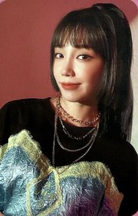 迷九 專輯卡 