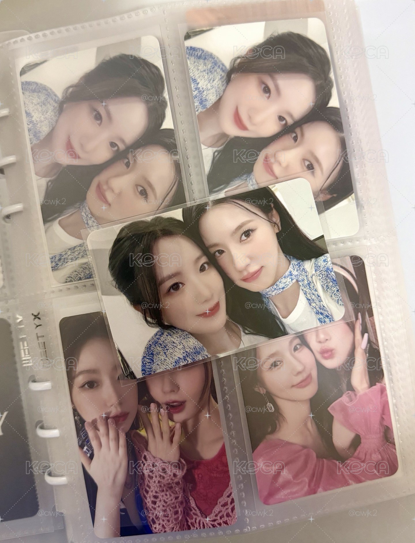 ms樹莓🐺🐰