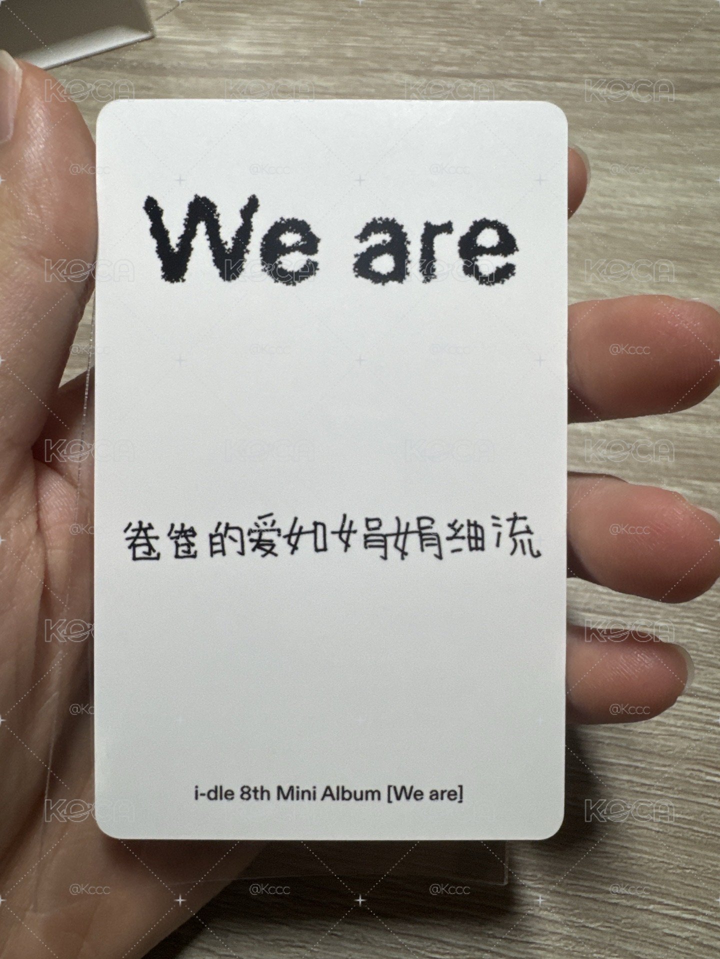 娟小盤（右上為中背）