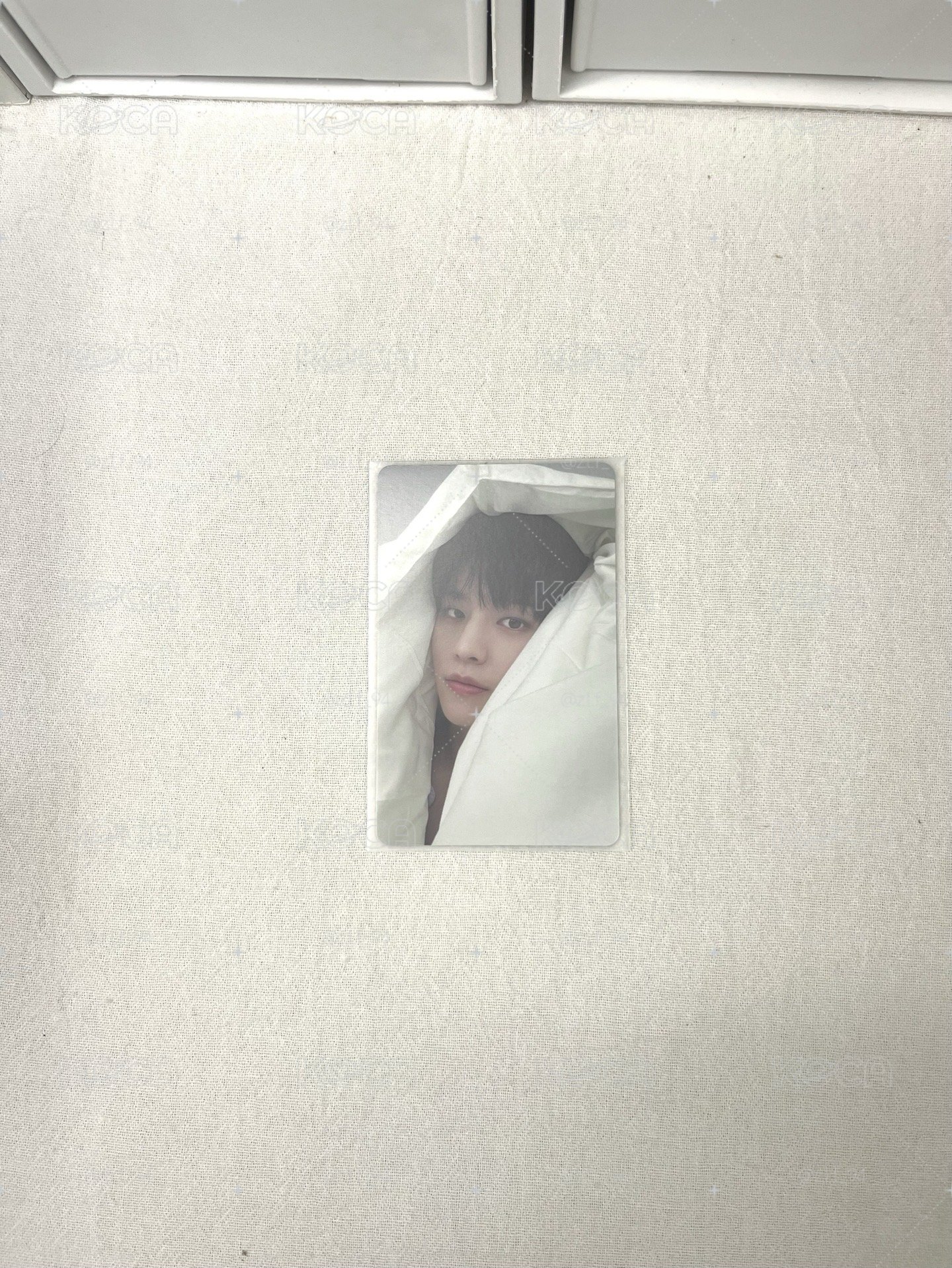 合(HOP) jyp 特典卡玟