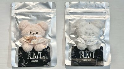 SKZ RUN IT SEOUL 潦草娃玟