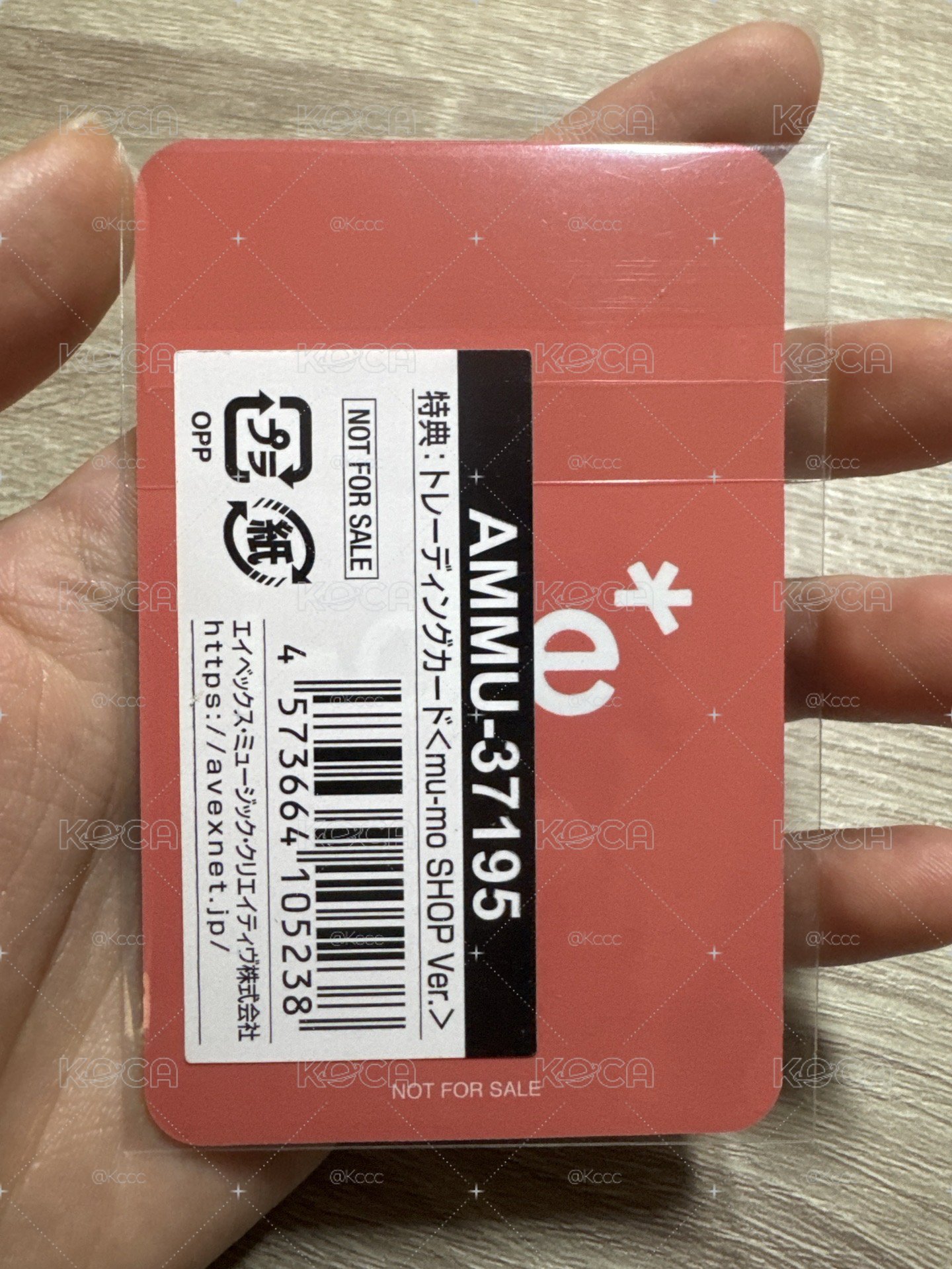 妮小盤（貓耳中毒者看過來）