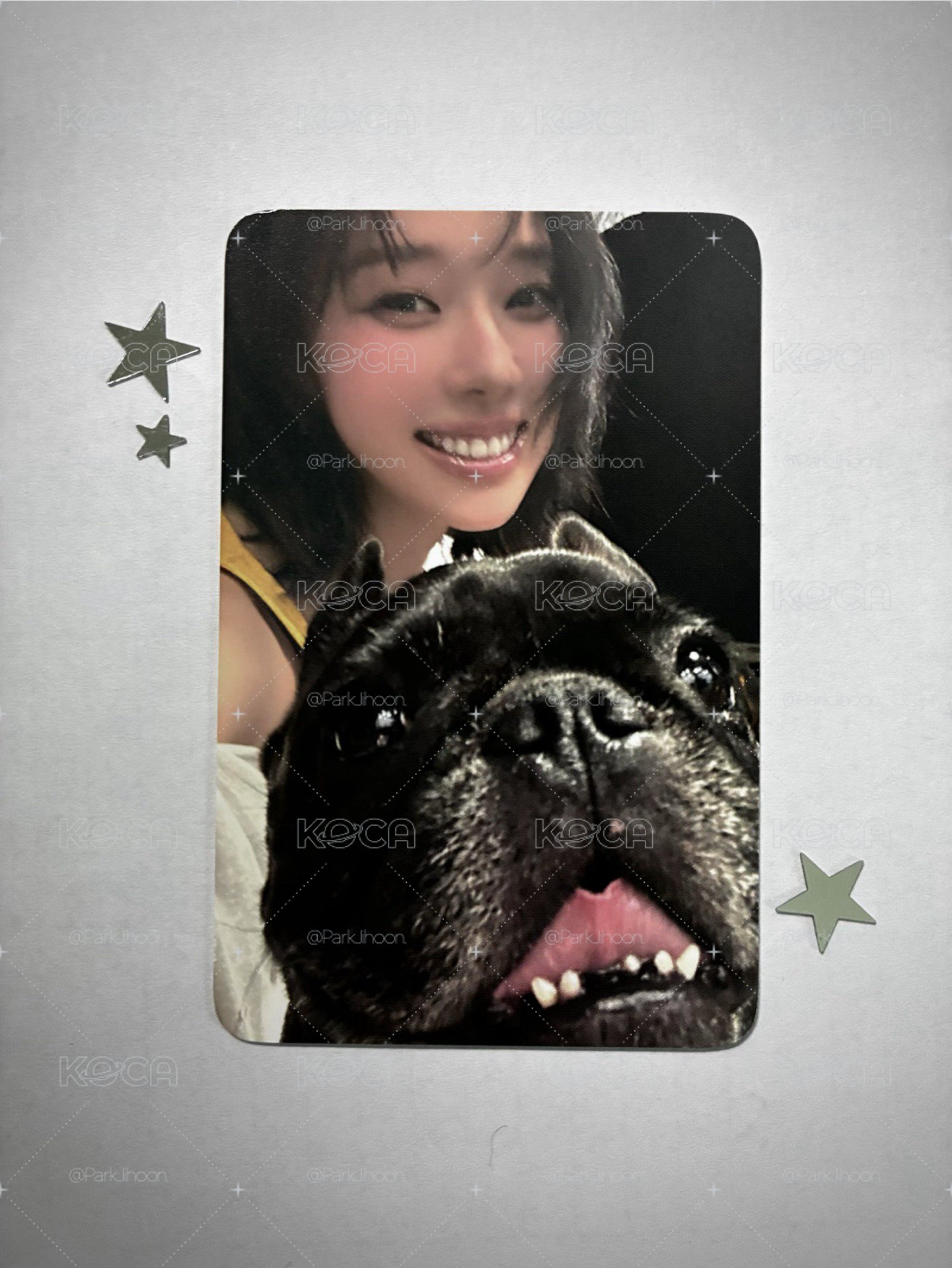狗狗冬🐶