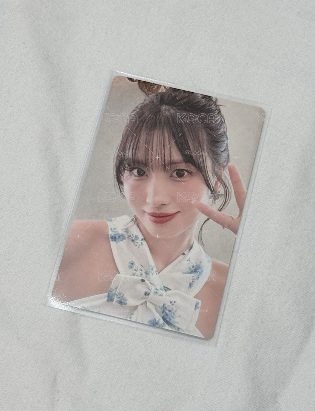 MOMO｜七週年卡冊卡