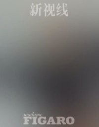 Madame Figaro D 雜誌 