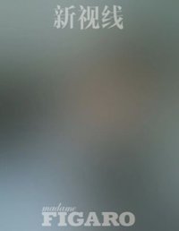 Madame Figaro B 雜誌 