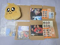 奎抱枕有下水1次+手燈環+dicon奎A版＆奎佑