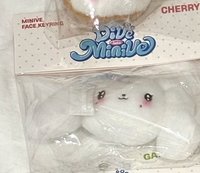 員大頭娃