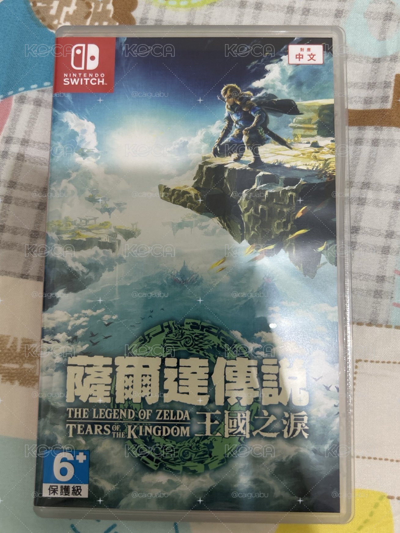 薩爾達傳說 王國之淚