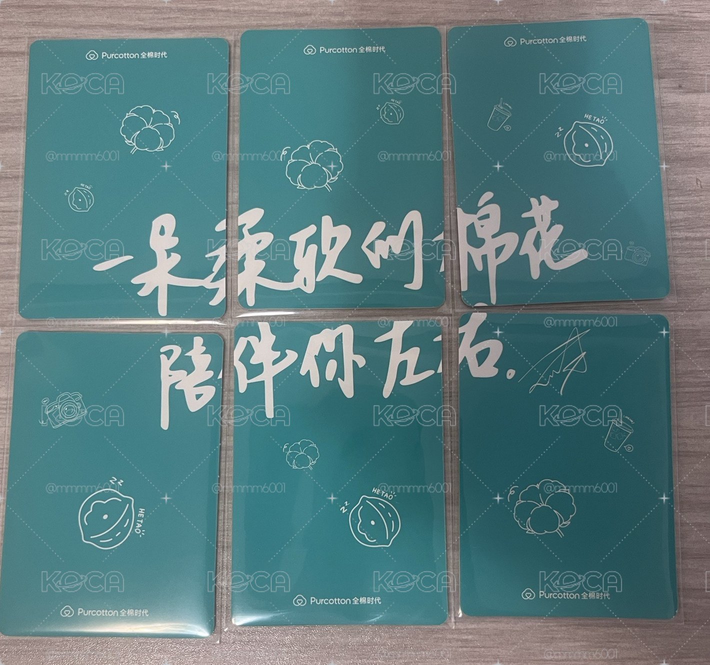 張凌赫 全棉時代小卡