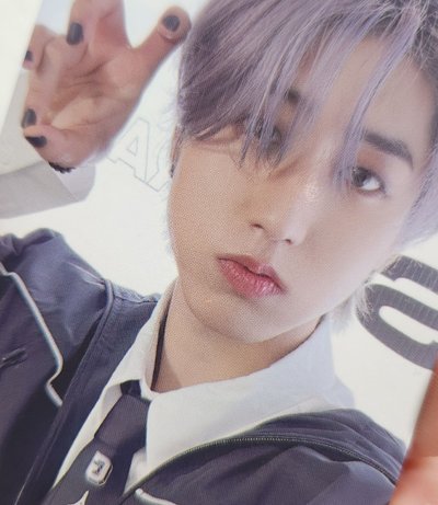 紫毛鼠鼠