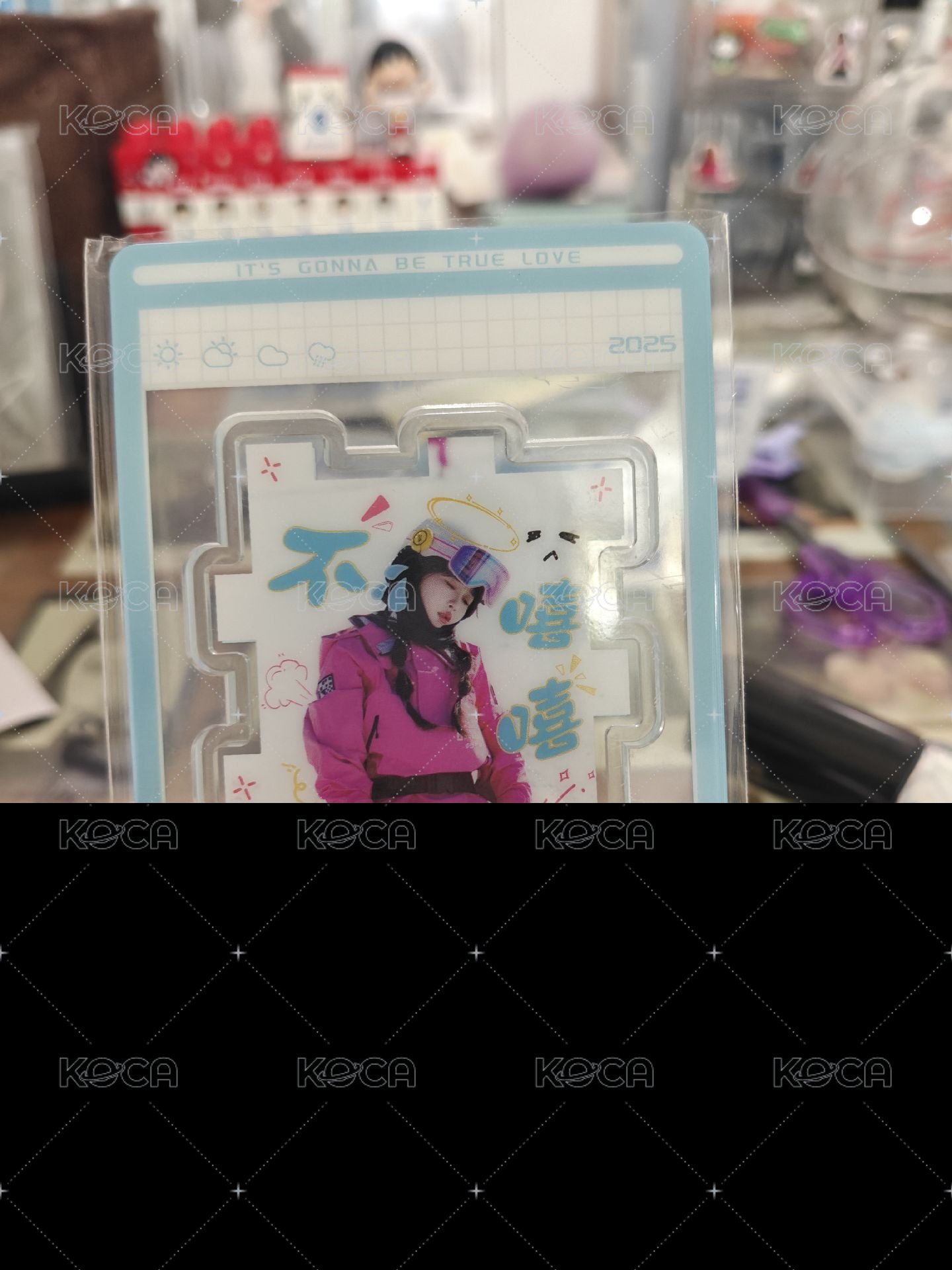 衛枝 不嘻嘻
