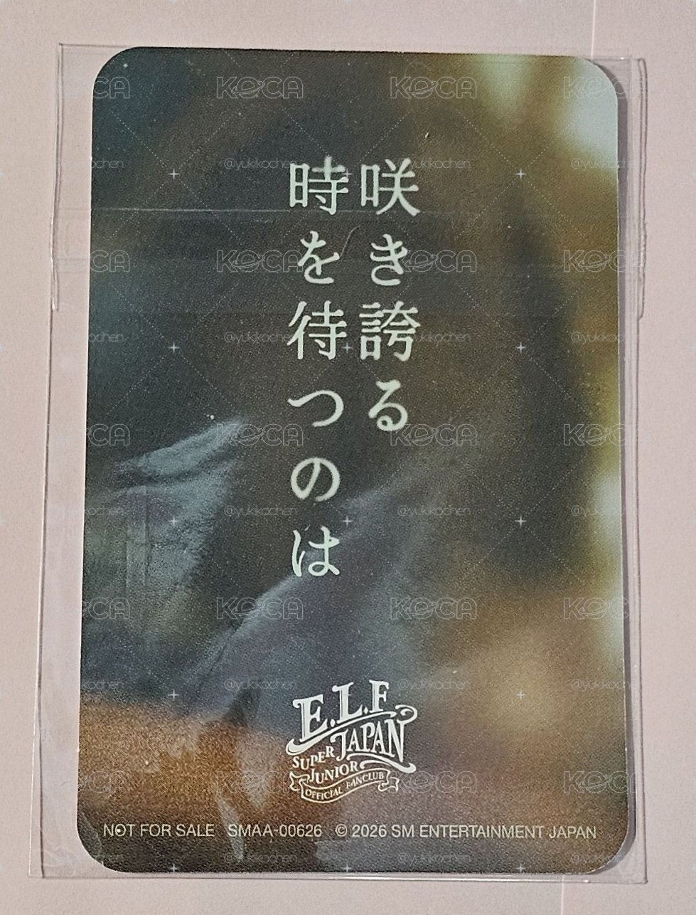 日巡 sm jp 現貨