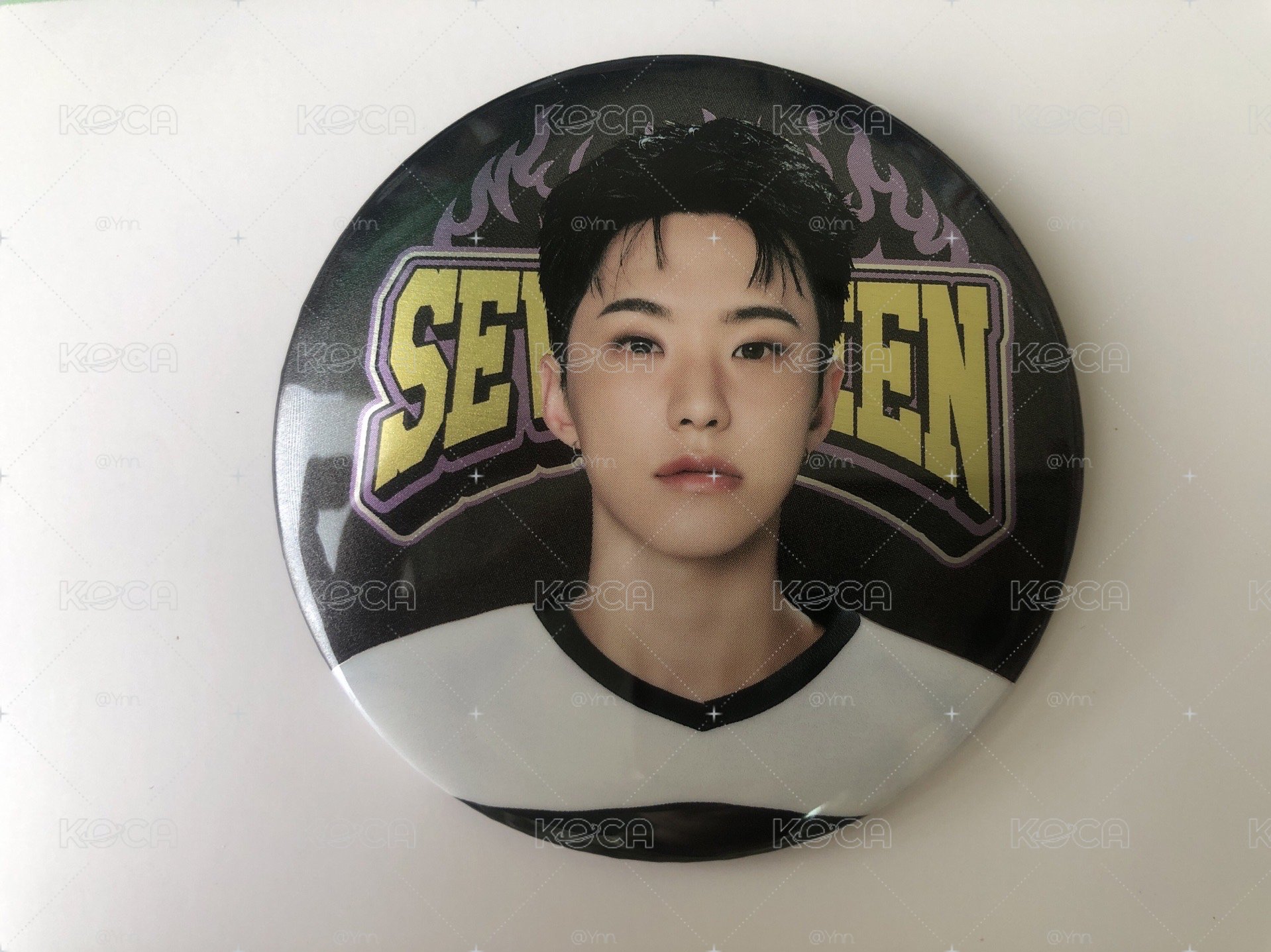 SVT 徽章