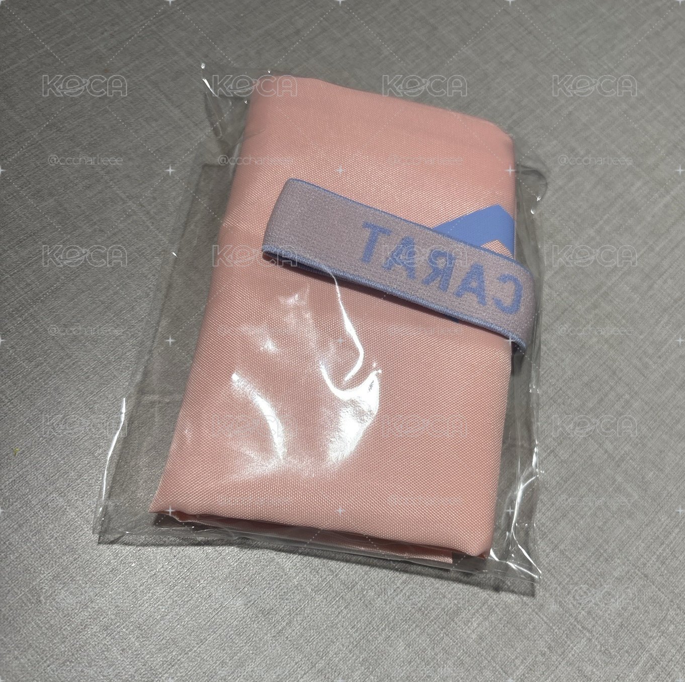 25年 日會續會禮