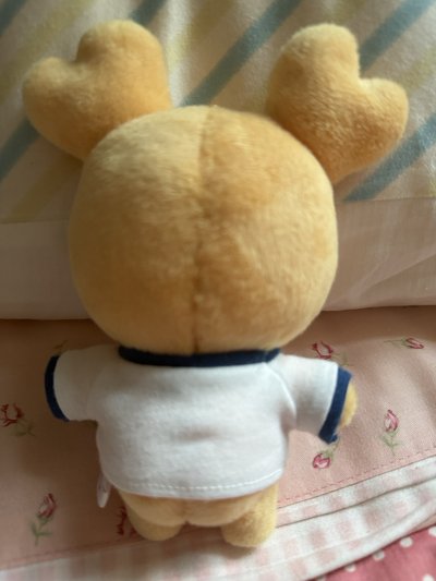 TWICE 效布里 十週年娃