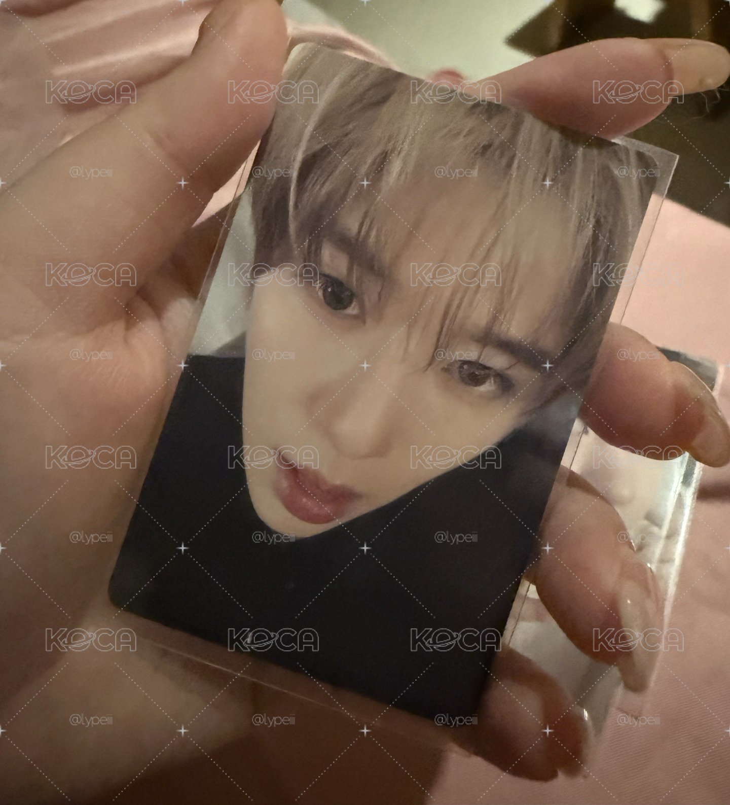 NCT Wish 中背小卡 Sion Jaehee Ryo sakuya